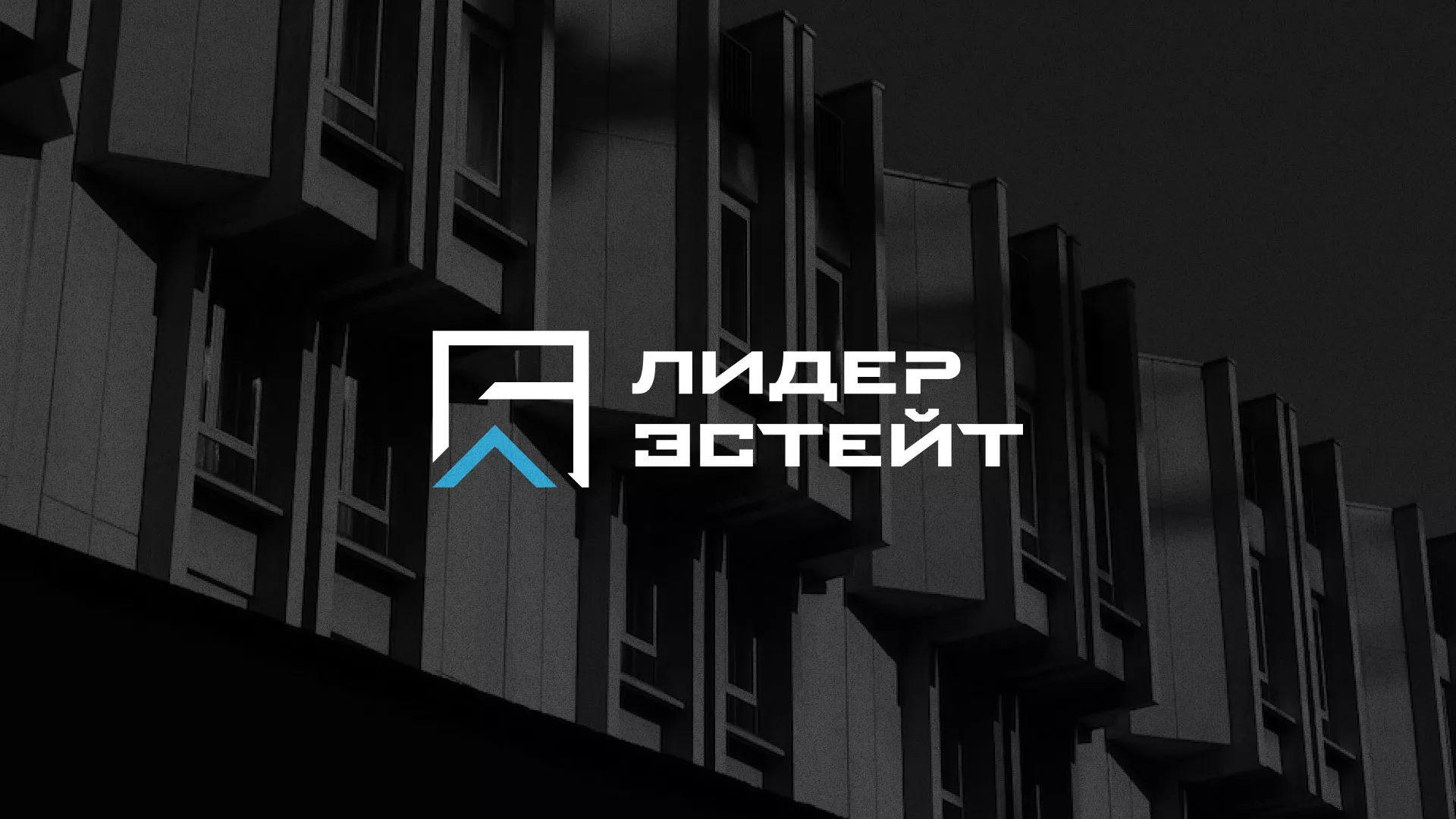 Разработка логотипа агентства недвижимости «Лидер Эстейт» в Ртищево